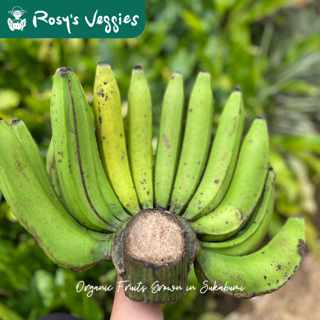 

Pisang Ambon Organik | per kg