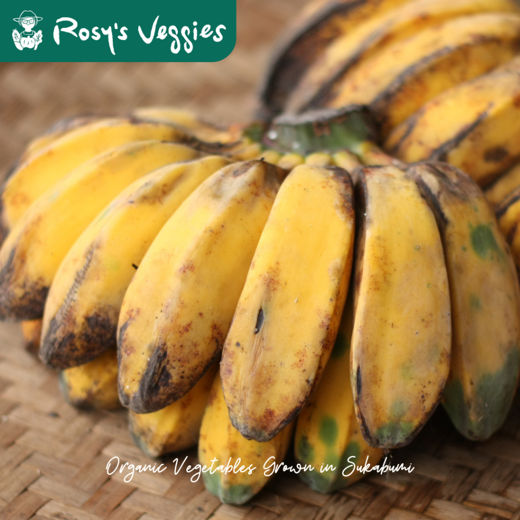 

Pisang Kepok Organik | 1 kg