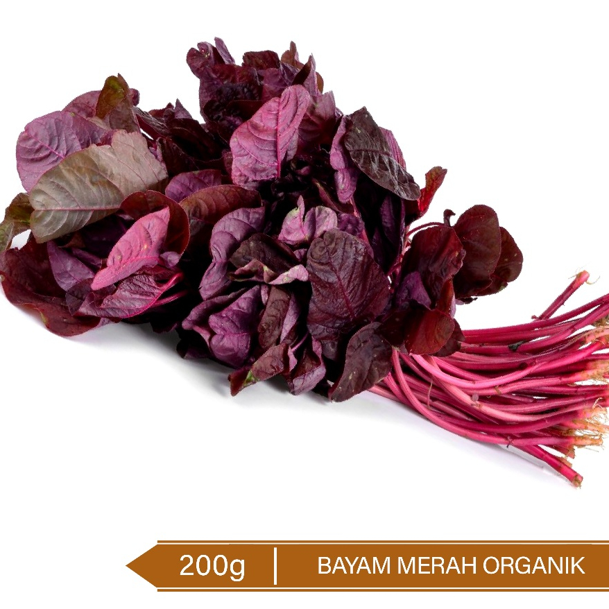 

Bayam Merah Organik 200g / Organic Red Spinach 200g