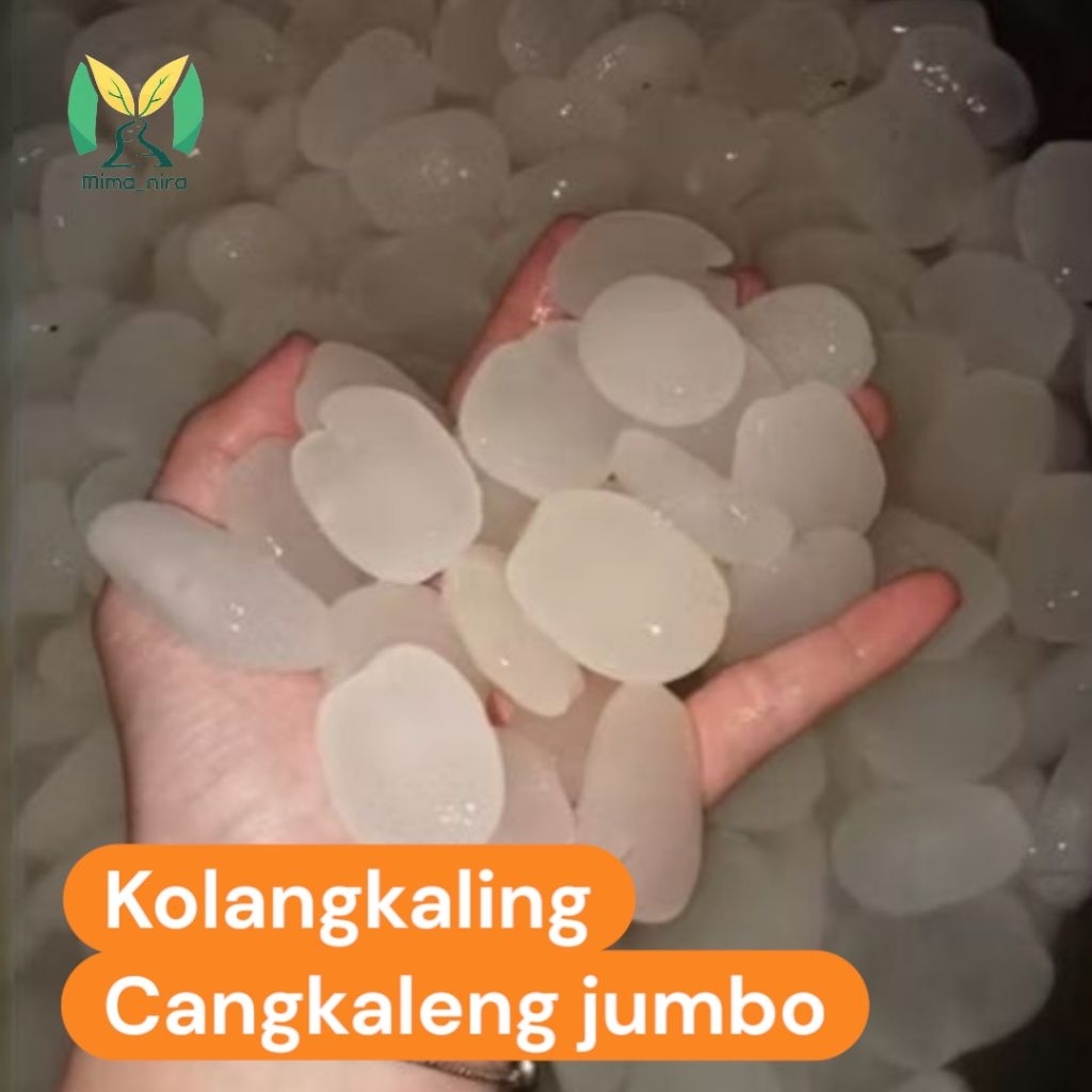 

Kolang Kaling 1kg super besar
