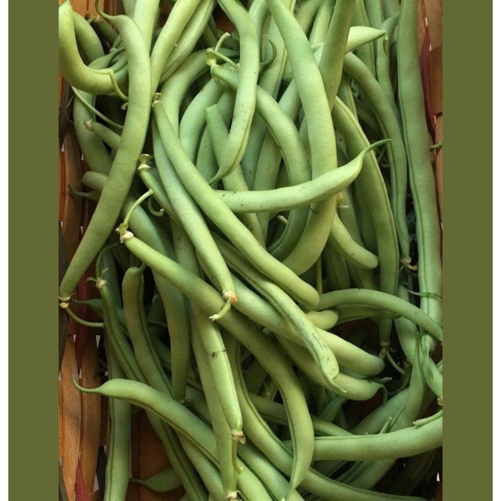 

Buncis 1kg sayuran segar pangalengan