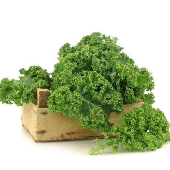 

KALE / Sayur Kale / Curly Kale