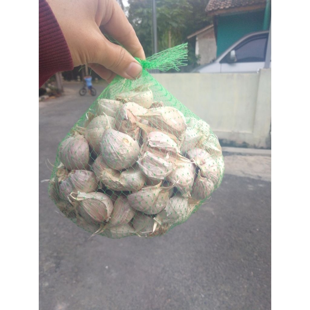 

Bawang putih kating adalah jenis bawang putih unggulan yang berasal dari Tiongkok dan dikenal dengan aroma yang kuat, rasa yang tajam, serta ukurannya yang lebih besar dibandingkan bawang putih