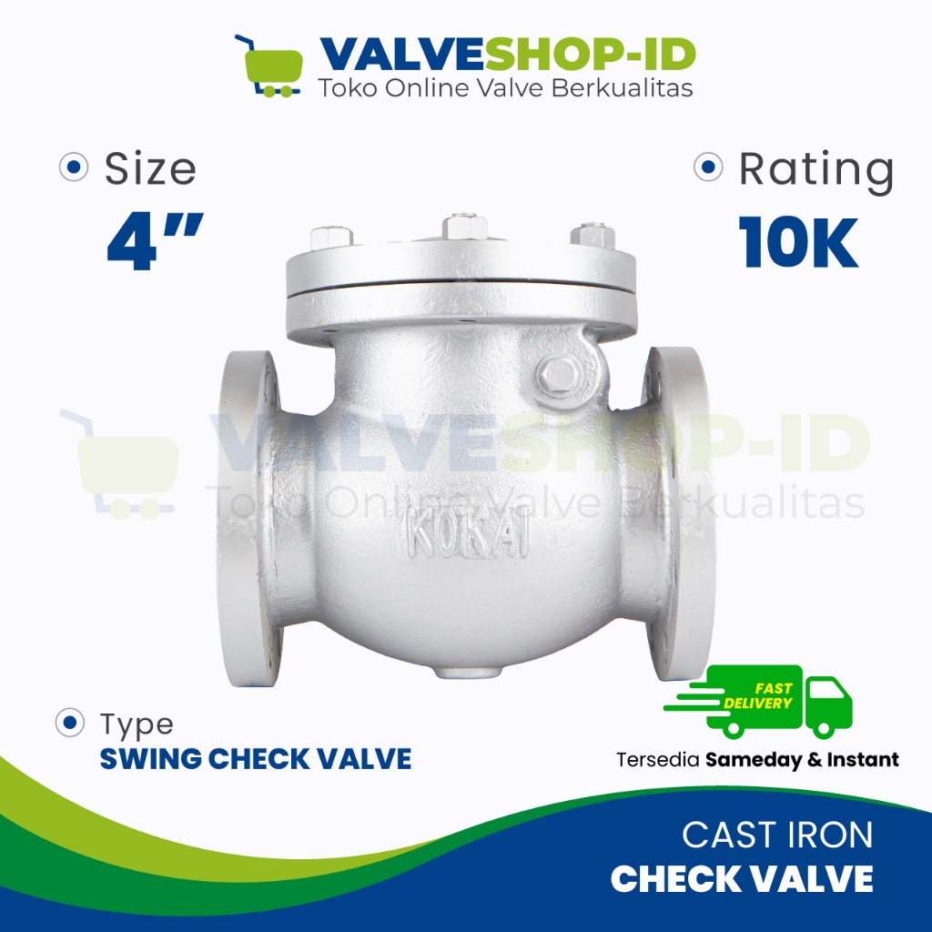 Swing Check Valve 4" Inch JIS10K Cast Iron