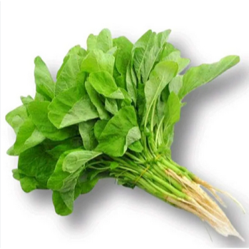 

Bayam sayur 1 ikat | Jbp Fresh