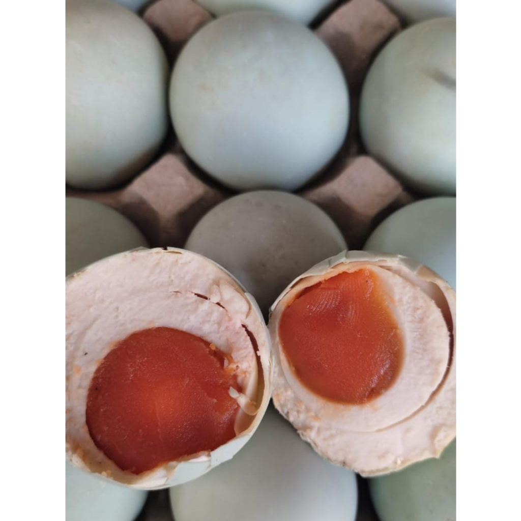 

Telur Asin MASIR MURAH