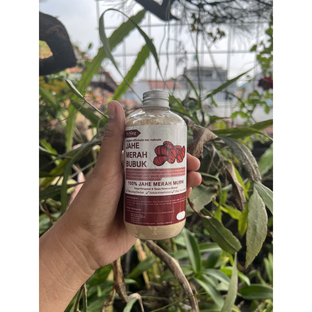 

Jahe Merah Bubuk - Zingiber officinale var. rubrum Roscoe