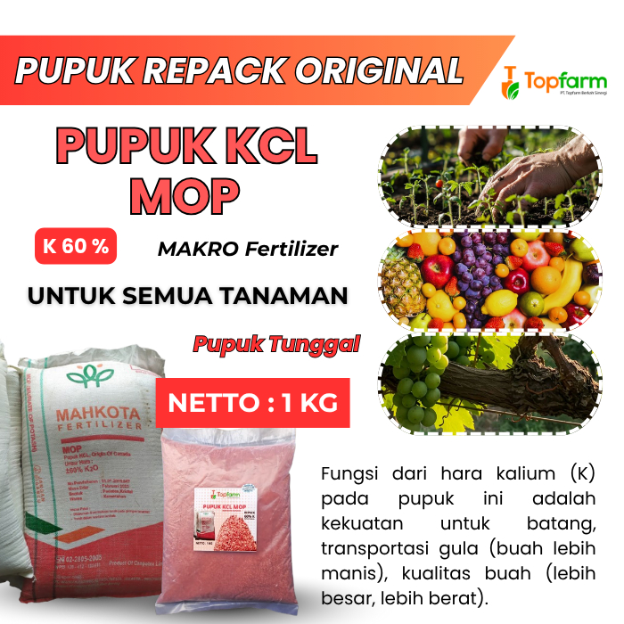Pupuk KCL MOP MAHKOTA/ Pupuk KCL MOP Kemasan 1 Kg/ Pupuk KCL MOP/ Pupuk Kalium Tinggi/ Pupuk Kalium 