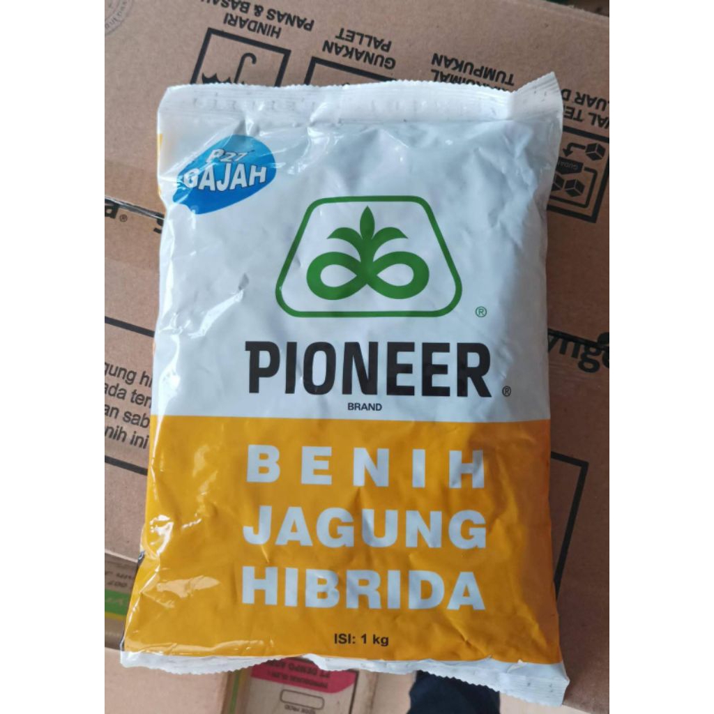 Benih Jagung Pioneer P27 Gajah/ P27Gajah
