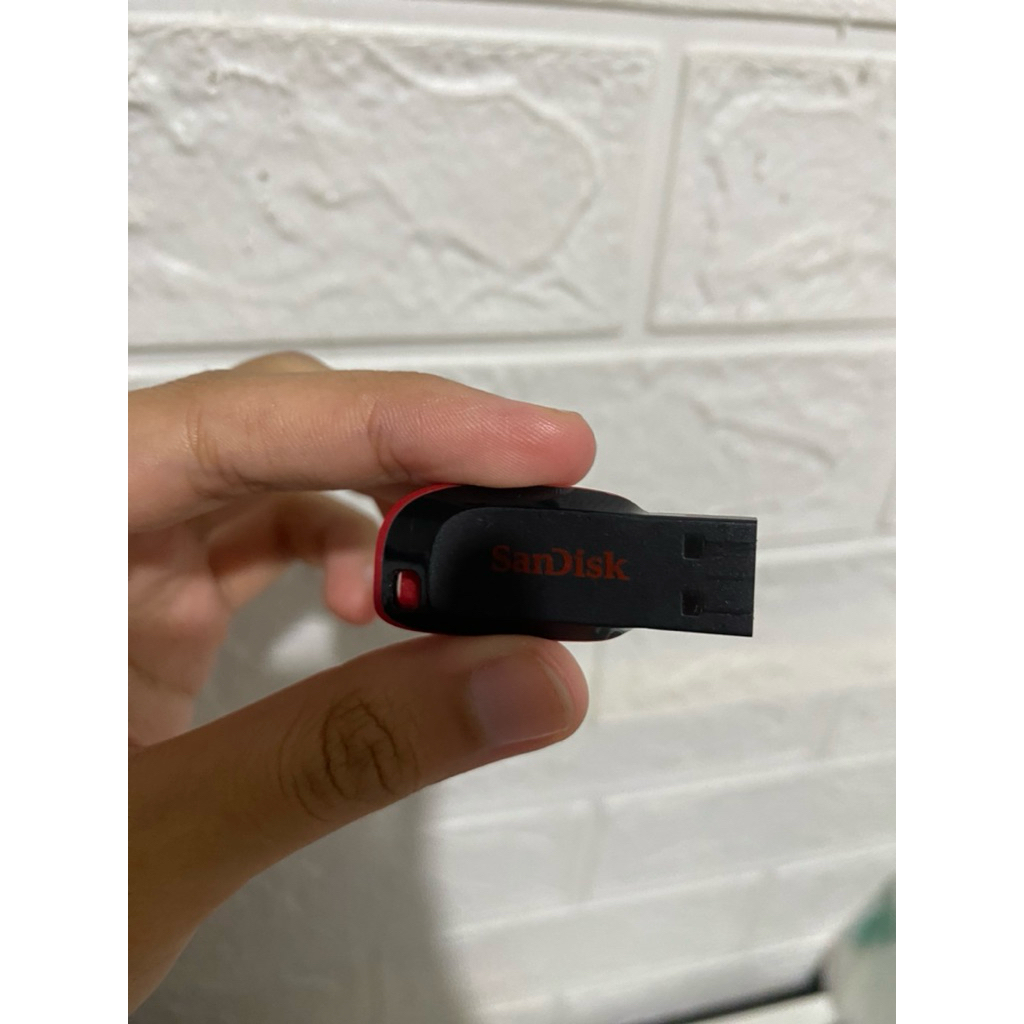 sandisk cruzer blade 32 Gb