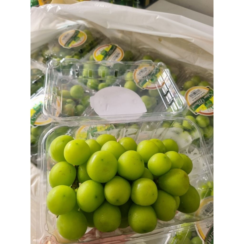 

Anggur Shine Muscat Box 500gr Manis Non Biji