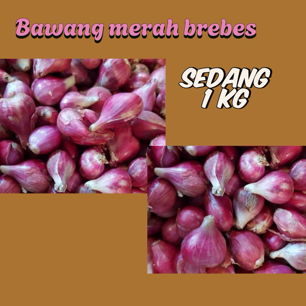 

Bawang merah Brebes ukuran sedang 1 kg