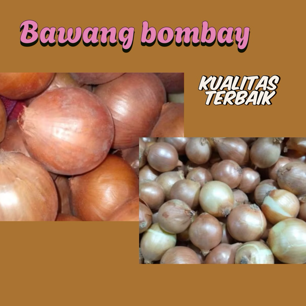 

Bawang bombay asli segar 1 kg
