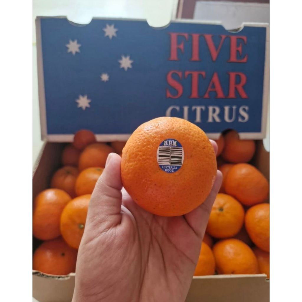 

Jeruk Murcot buah segar import 1kg