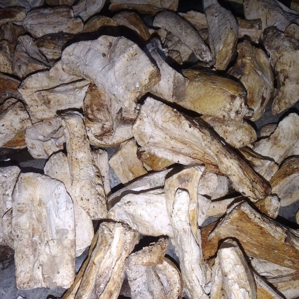 Gaplek atau singkong kering