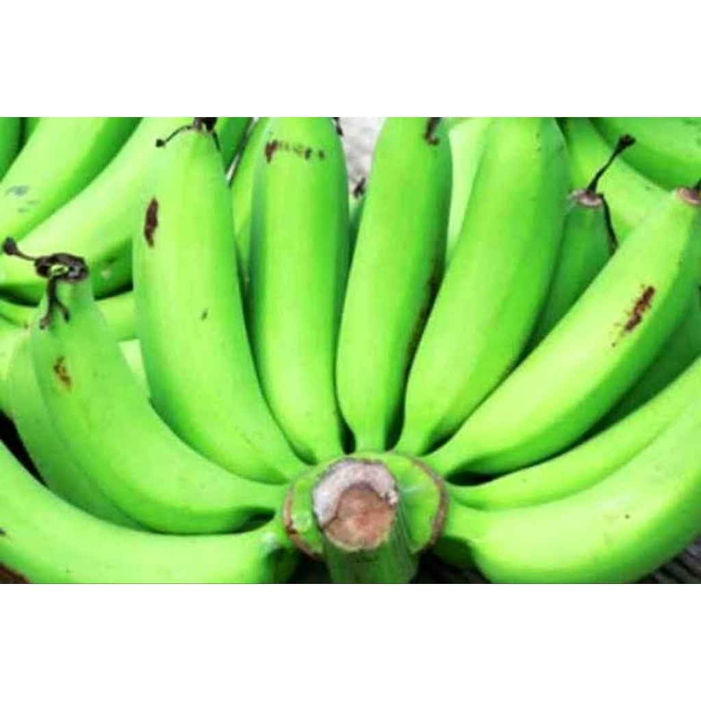 

Pisang hijau per siair