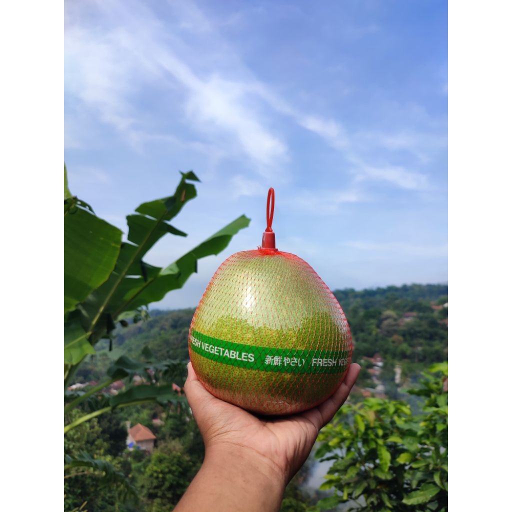 

BUAH SEGAR JERUK PAMELO MADU ASLI PATI, MANIS LEGIT BERAT 700gr-800gr