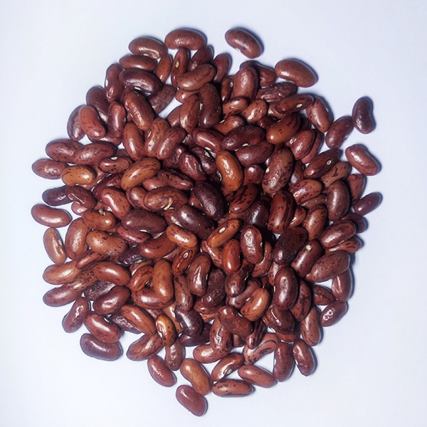 

KACANG MERAH Kualitas Premium