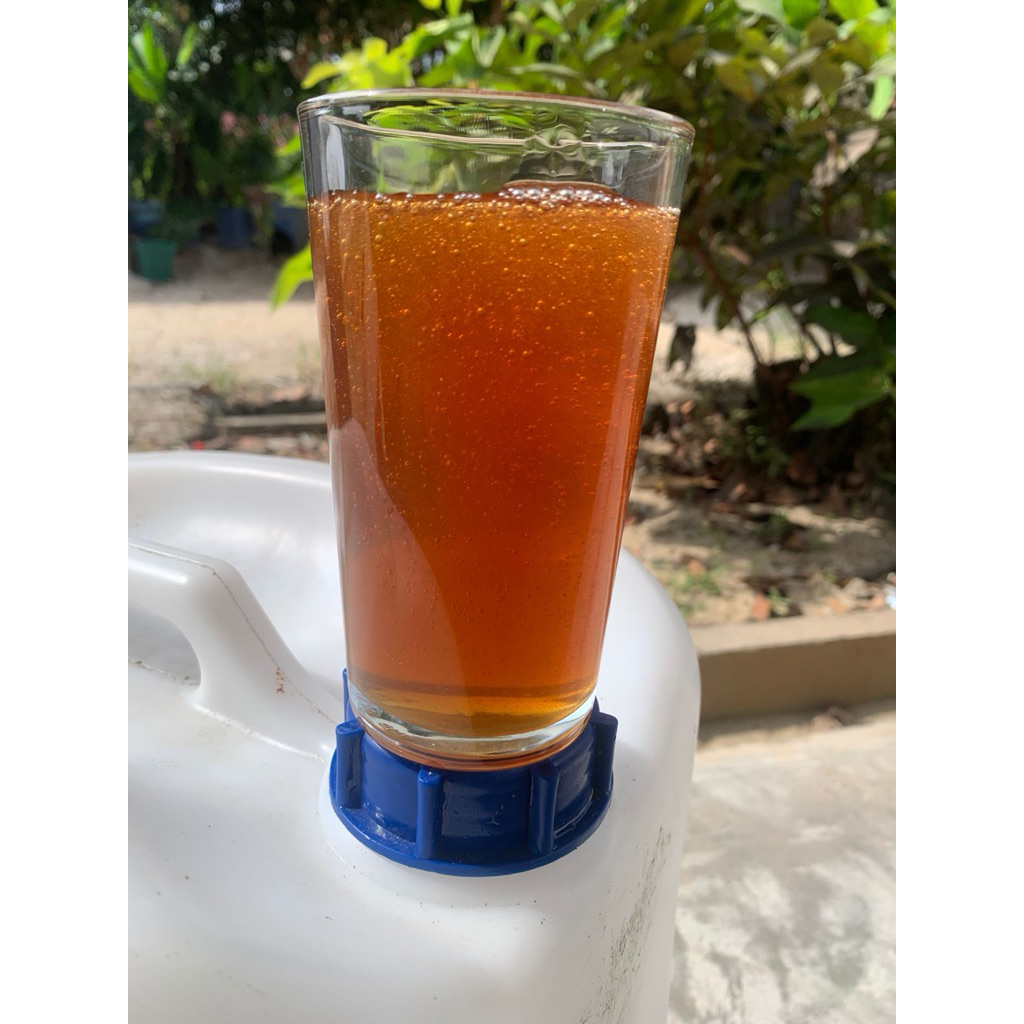 

GRADE A 10KG Madu Hutan Akasia Mangium