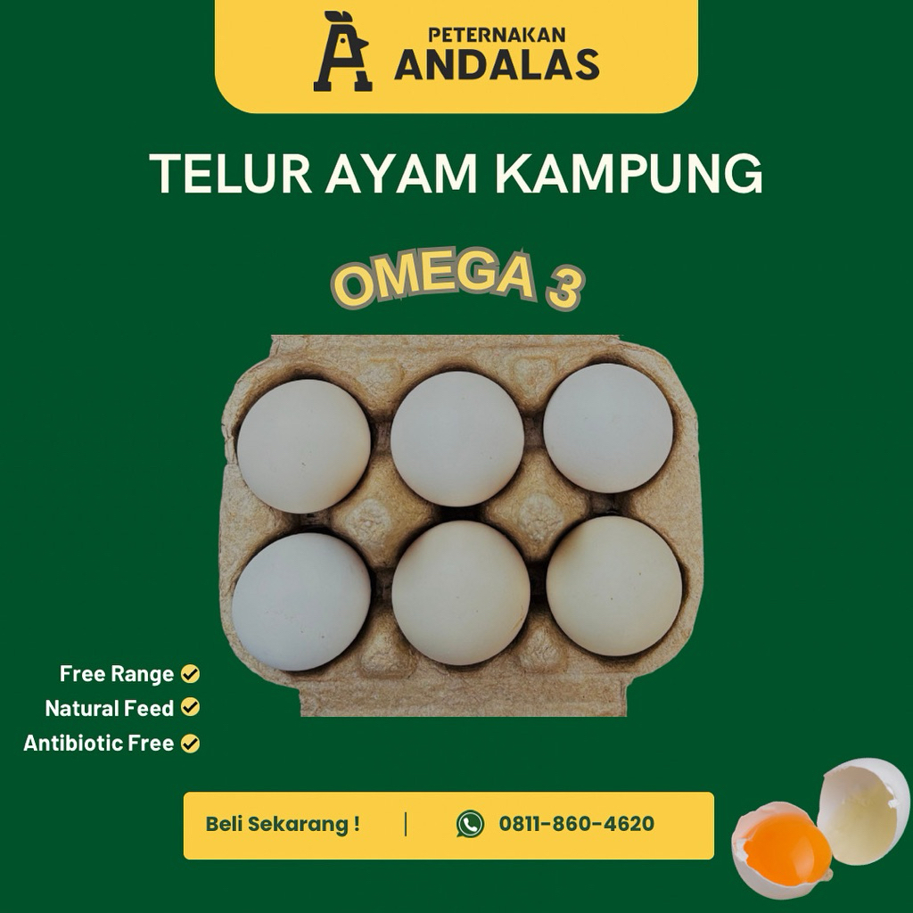 

Telur Ayam Kampung Omega 6 Butir