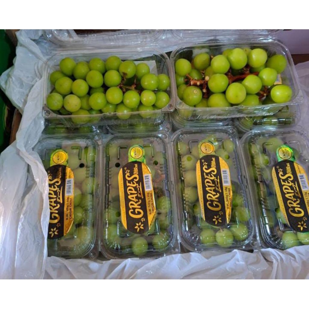 

Anggur Muscat Hijau 500gr