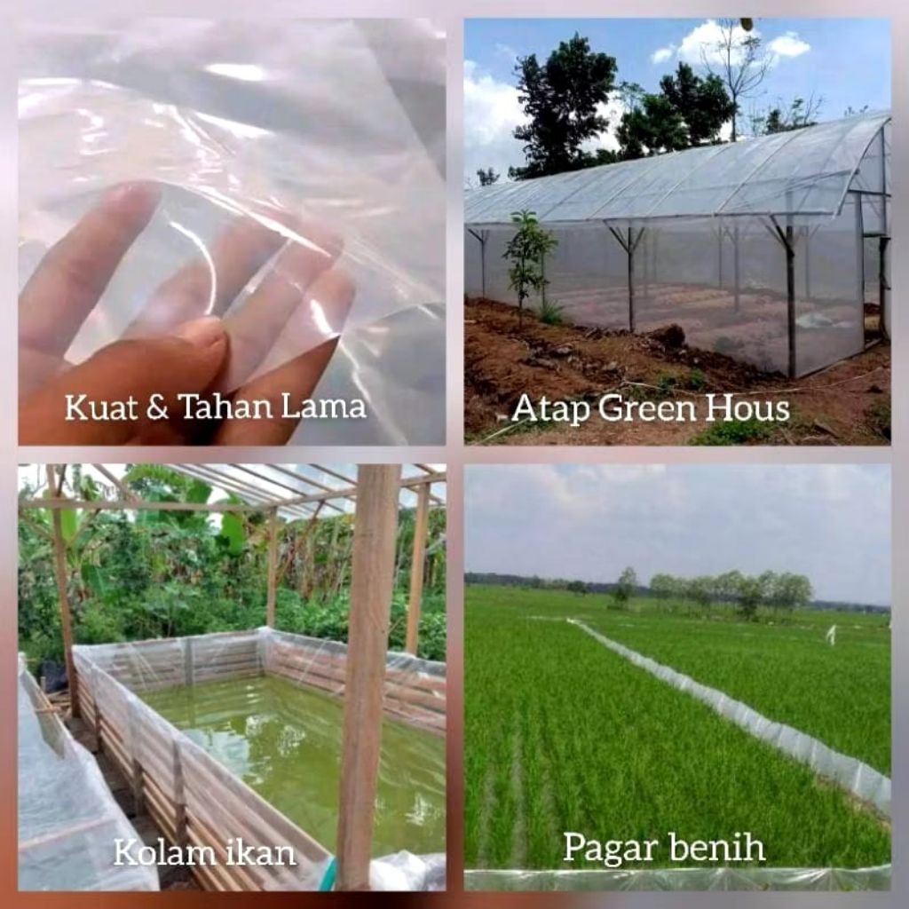 Plastik UV 200Micron 7Mx8M Plastik Green House/Terpal kolam ikan/plastik cor
