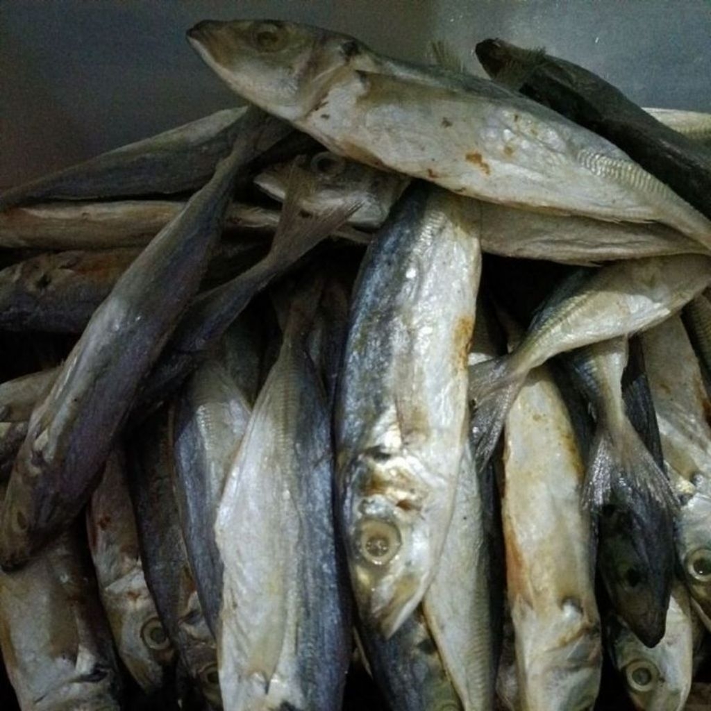 

ikan asin klotok