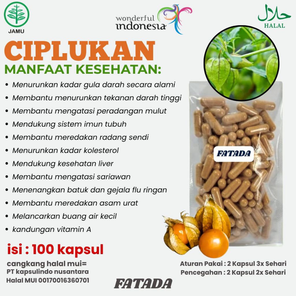 DAUN CIPLUKAN  KAPSUL DAUN CIPLUAN 100 KAPSUL