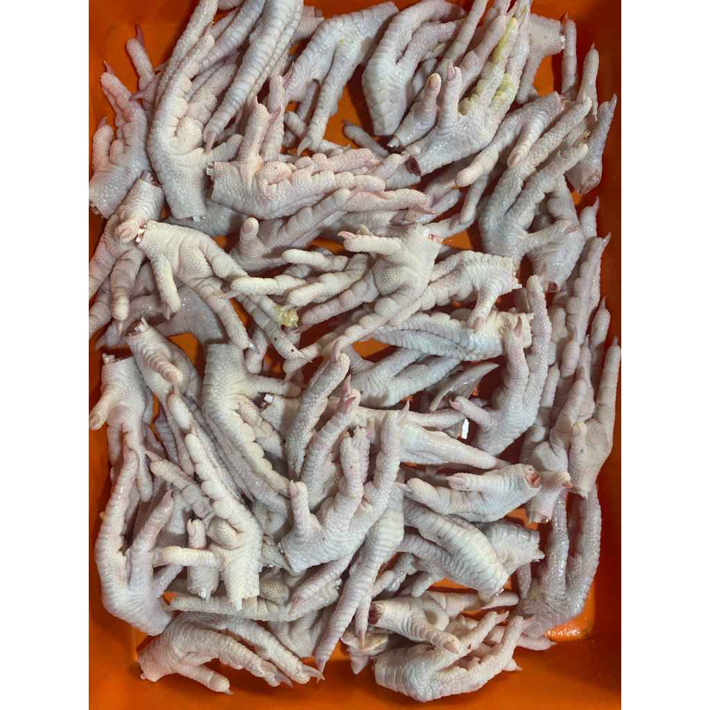 

Ceker ayam pejantan (kecil)