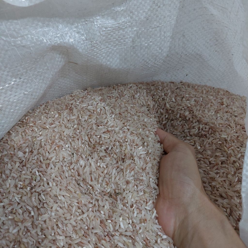 

Beras merah kampung Karo