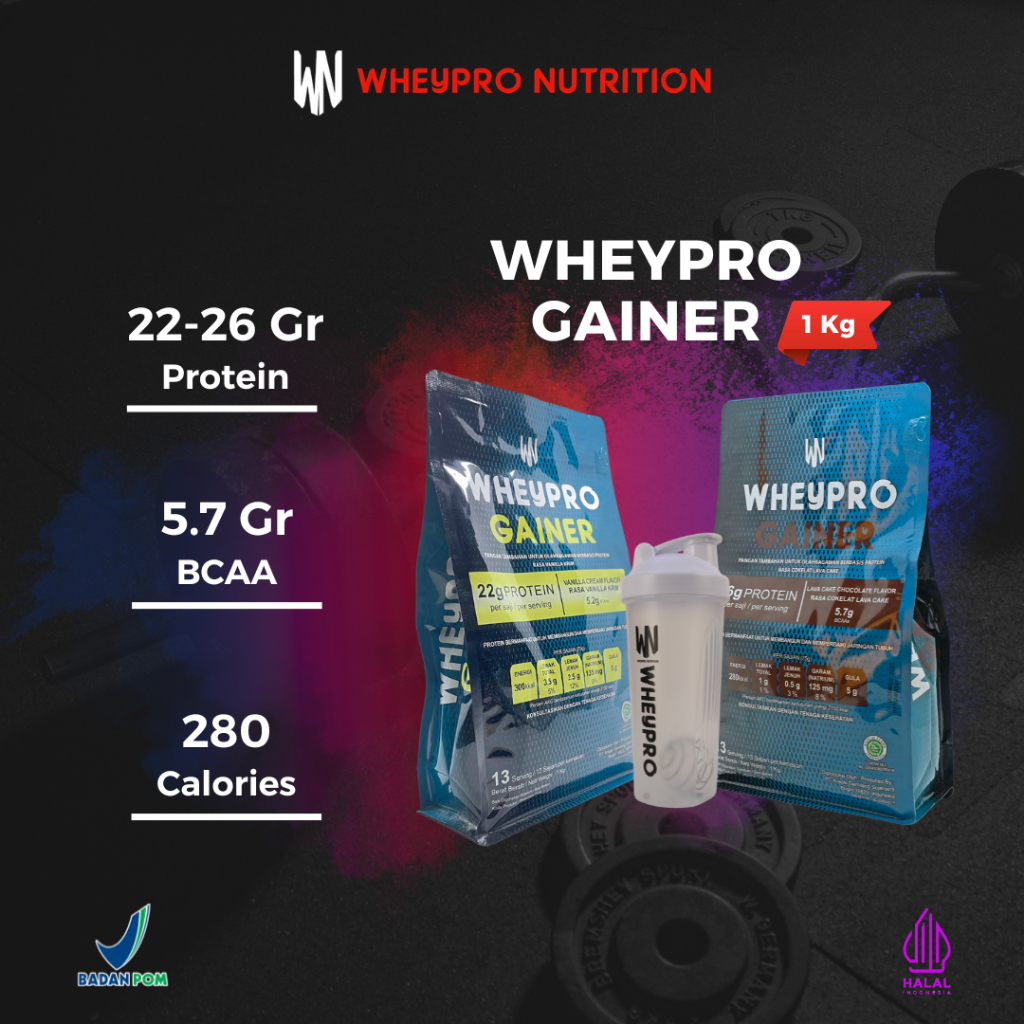 WHEYPRO NUTRITION - Whey Protein Gainer 1kg