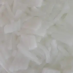 

Agar-agar jelly bentuk kelapa