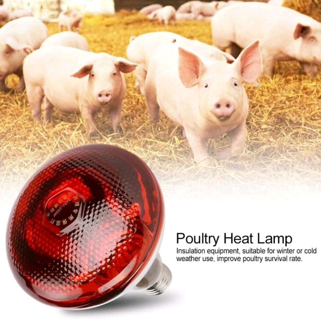 Lampu Pemanas Infrared hewan kesayangan anda