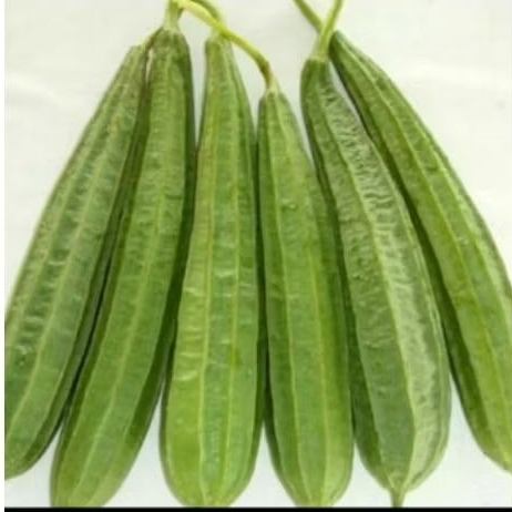 

sayur oyong 500gram