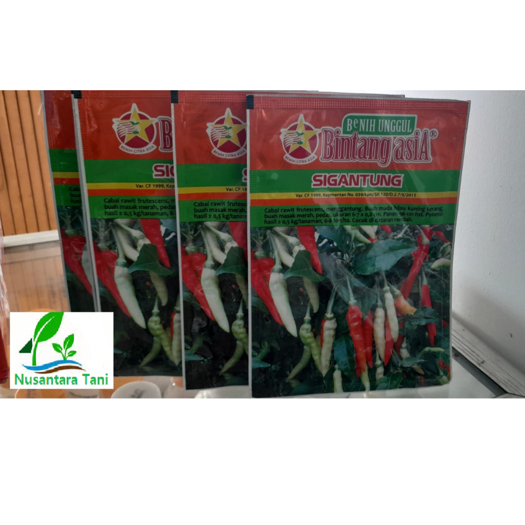 Benih Cabe Rawit Putih Sigantung / Bibit Cabe Rawit Unggul