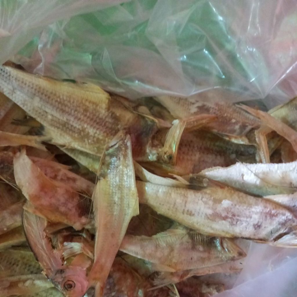 

ikan kering biang