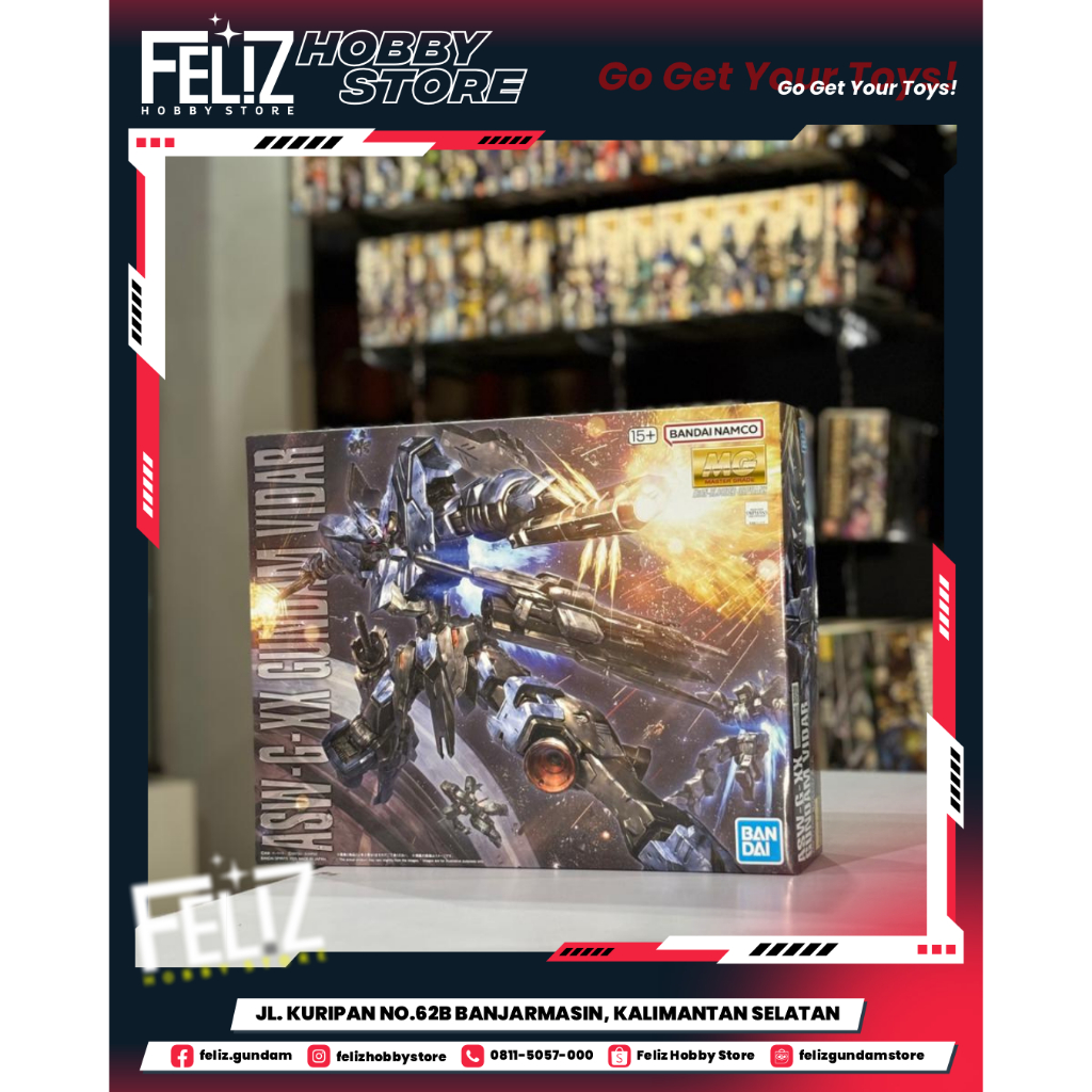 ( BANDAI ) MG 1/100 GUNDAM VIDAR