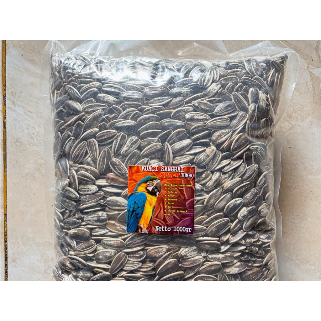 

Kuaci Sangrai Jumbo 1kg kuaci burung parrot