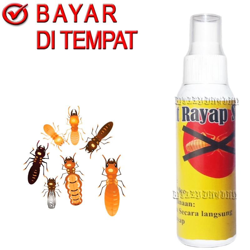 OBAT RAYAP Spray Racun Serangga Termisida Jendela Pintu Rumah Kayu