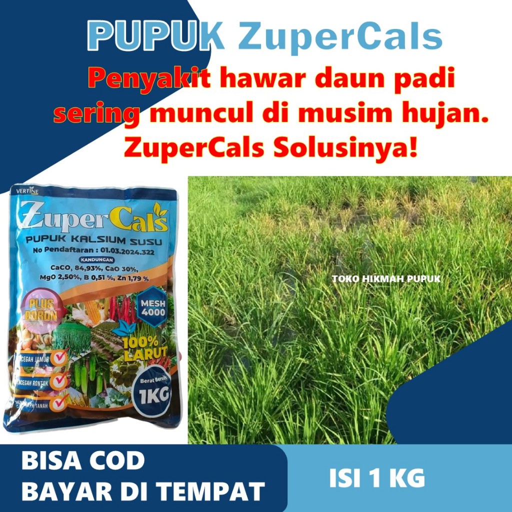 Pupuk Cair Zupercals Padi – Obat Daun Kuning & Kerdil, Cegah Layu Daun, Kresek & Hawar Untuk Tanaman