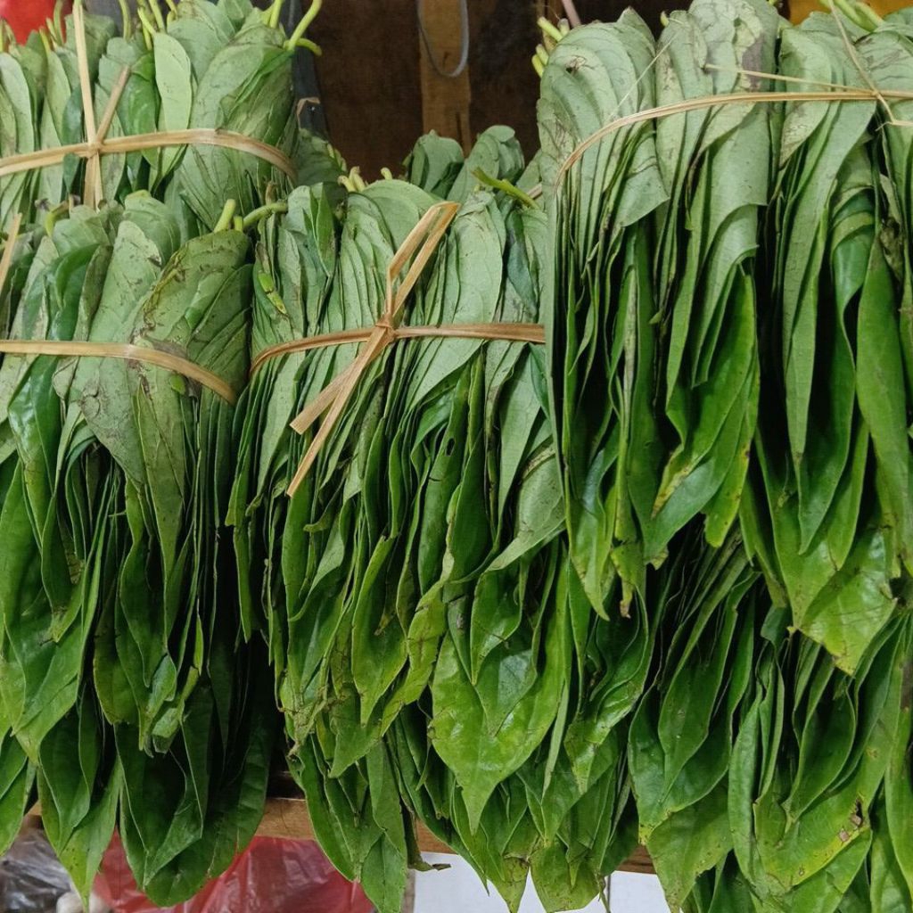 

Daun sirih medan 2 kepit