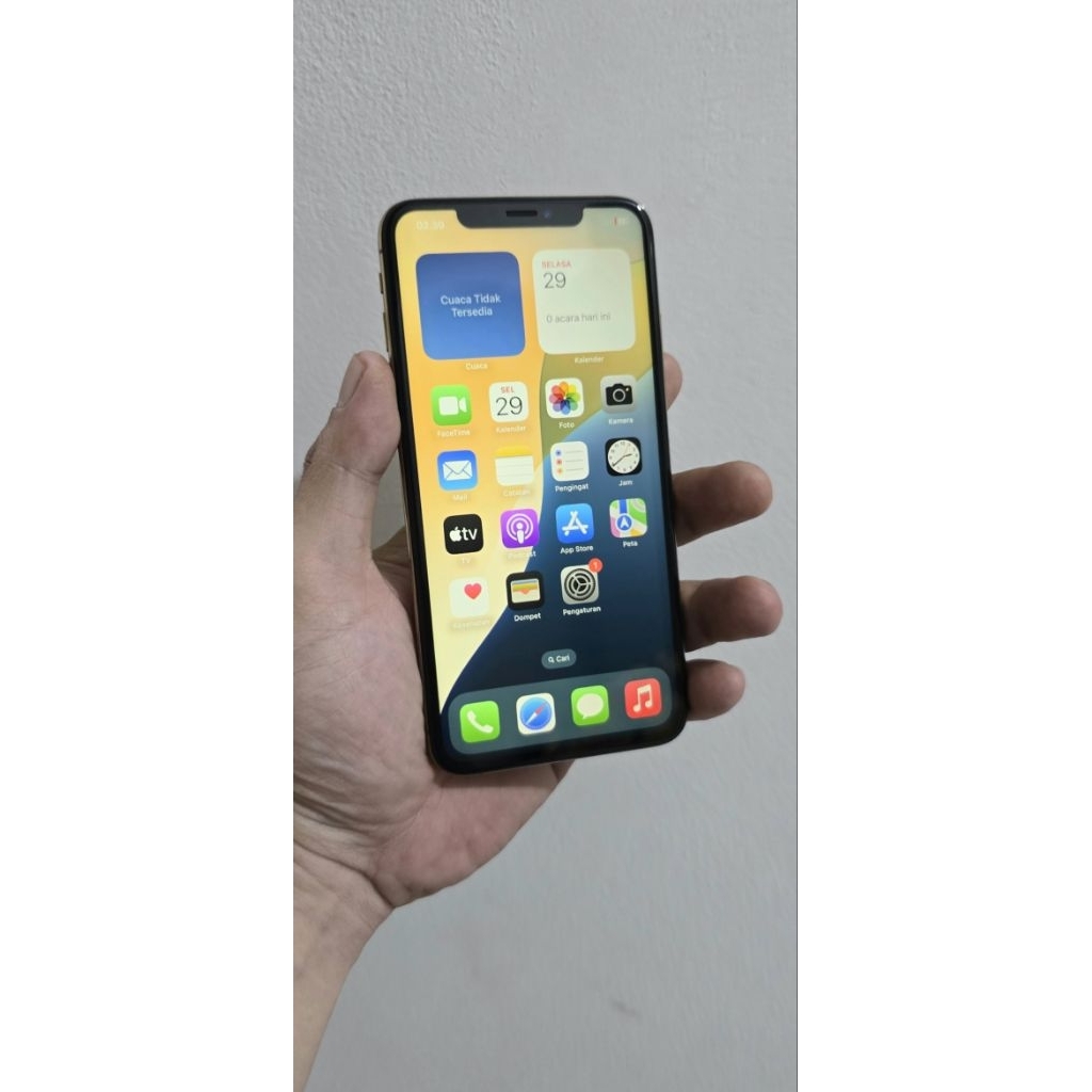 Second IP Xs Max 256gb Wifi Only