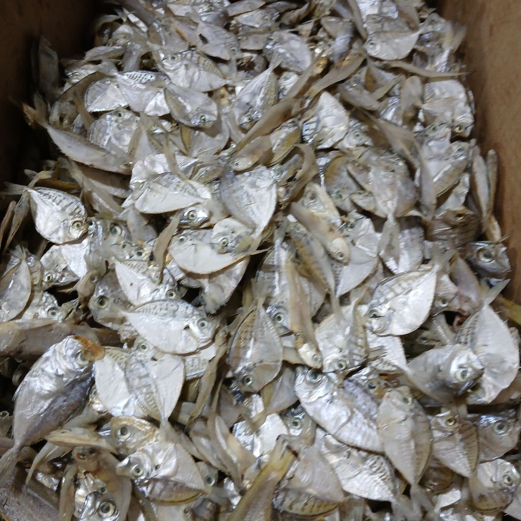 

IKAN ASIN PETEK 500GRAM