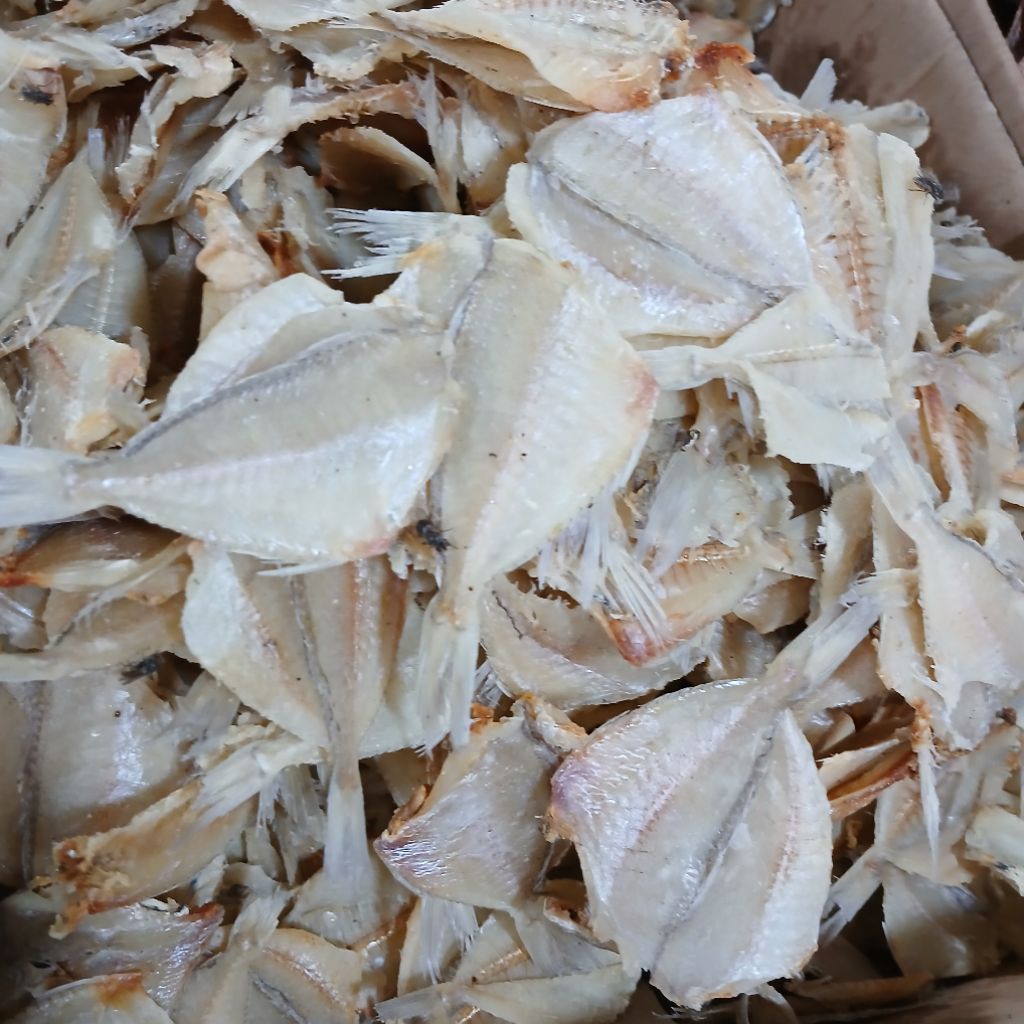 

IKAN ASIN KAPASAN TANPA TULANG 500GRAM