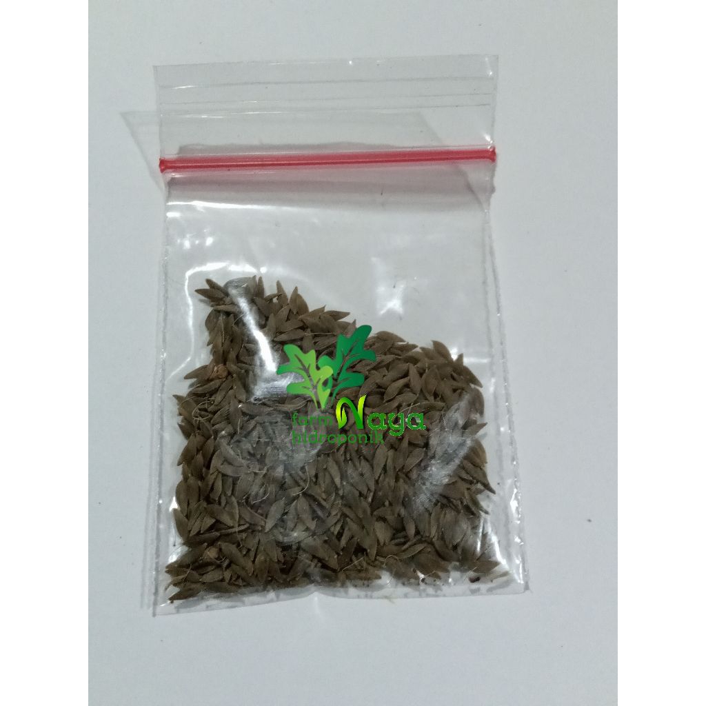 

SEMENTEL F2 1gr, BENIH SELADA HIDROPONIK.