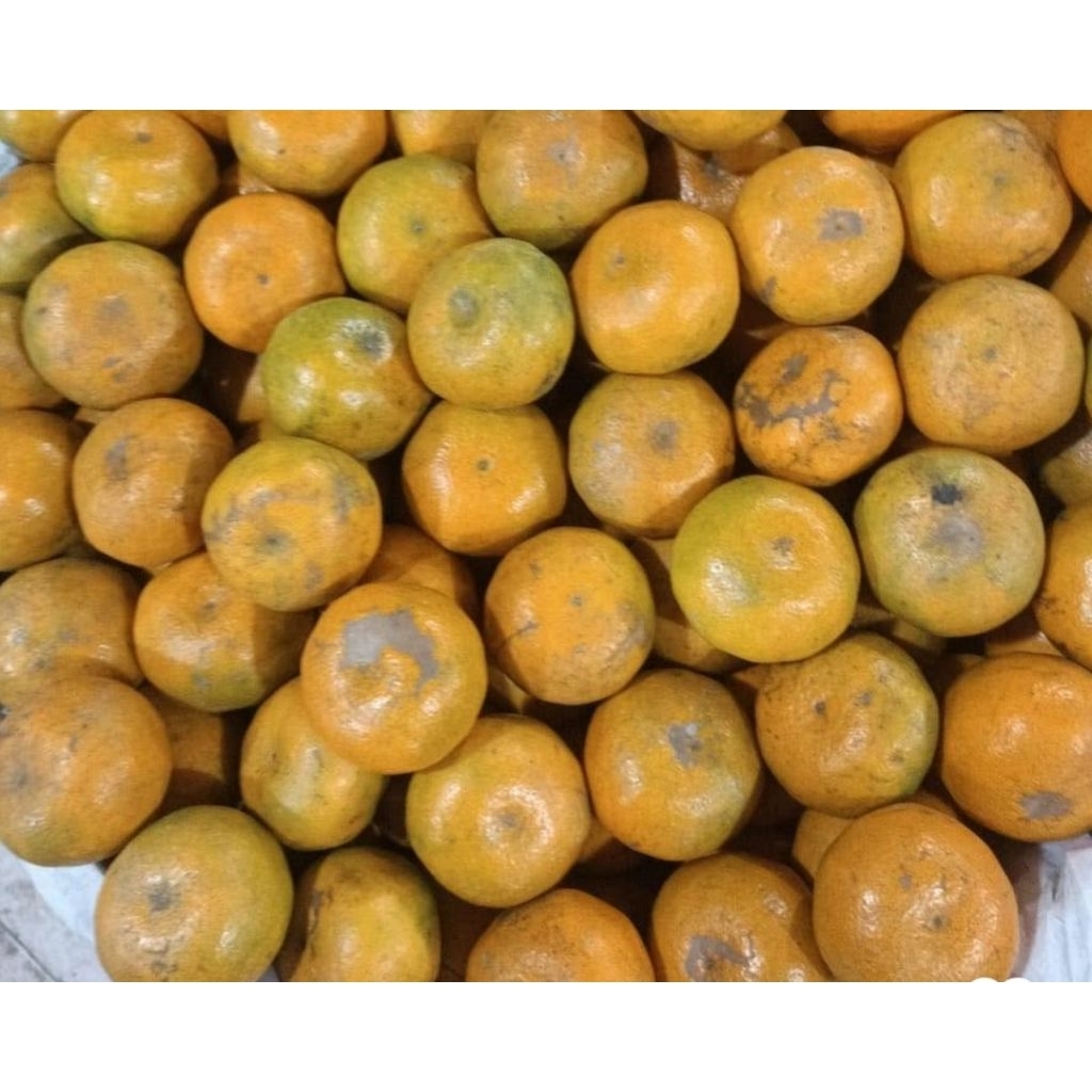 

jeruk berastagi 1kg