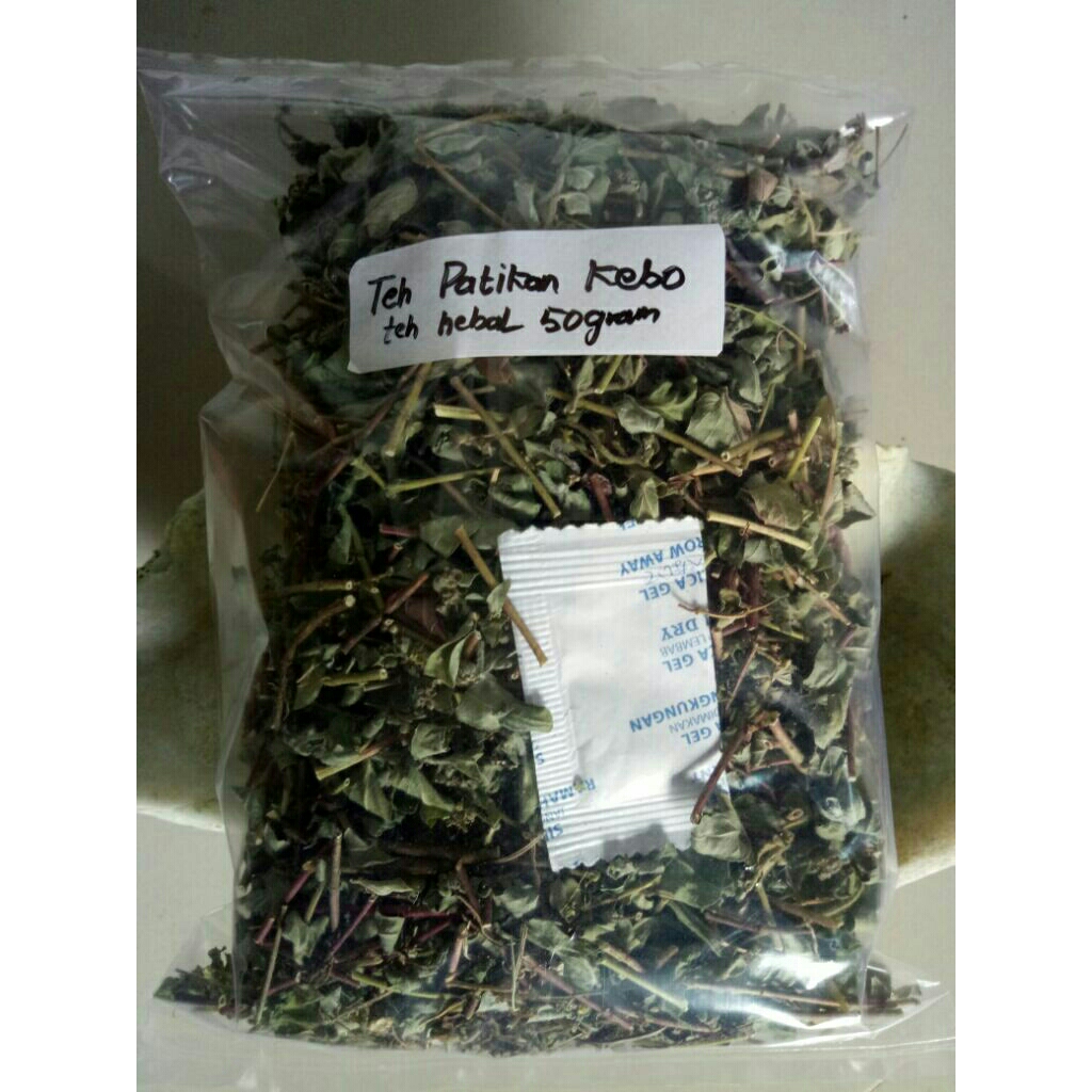 

Teh Herbal 50gram Patikan kebo kering kwalitas premium Euphorbia hirta