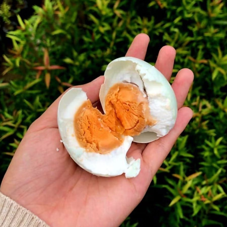 

TELUR ASIN MANTAP DIMAKAN - telur asin gurih dan lezat