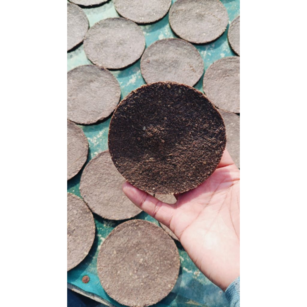 

belacan original udang rebon