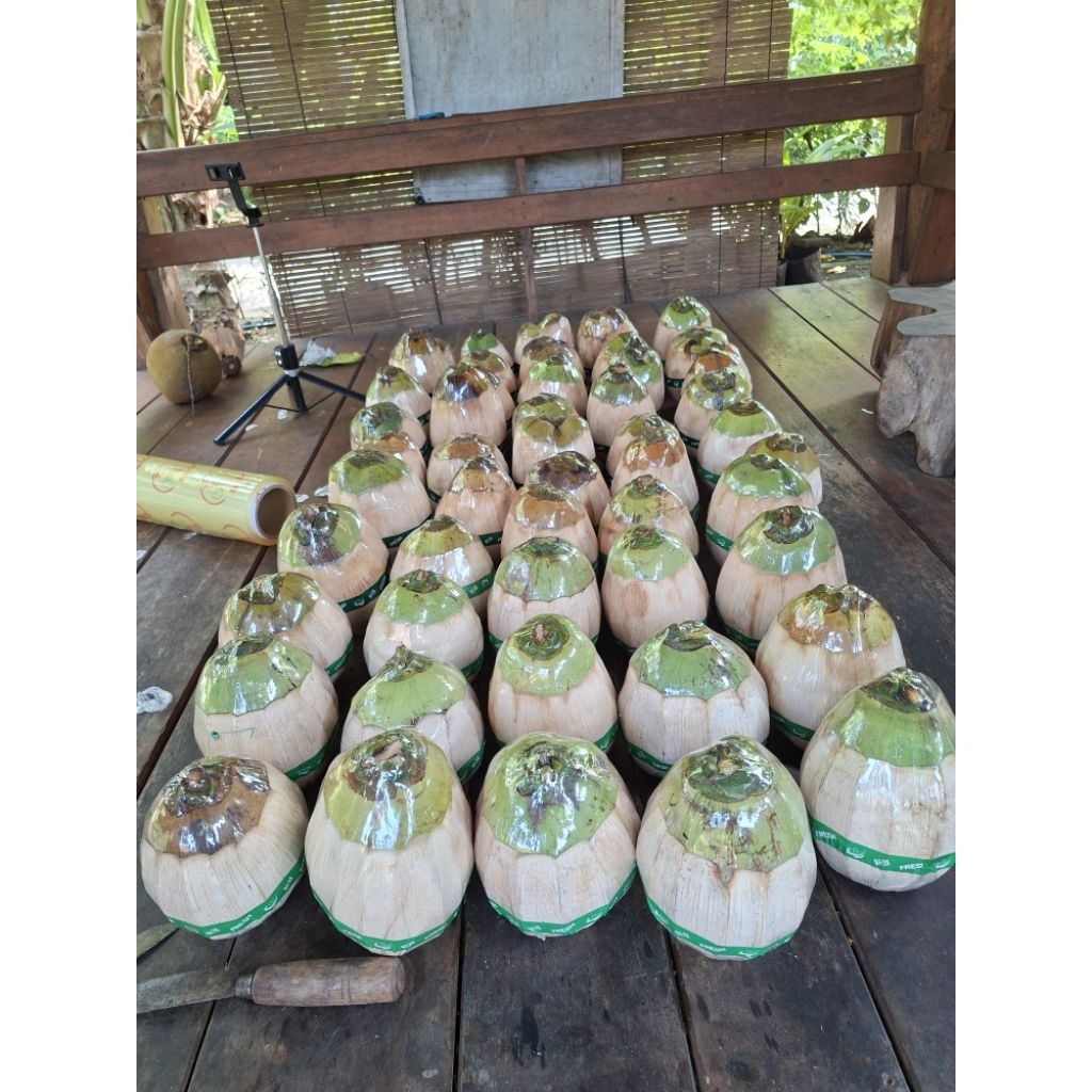 

Kelapa Kopyor Produk Unggulan Dengan Kemasan Hijau Segar dari Pati Dukuhseti